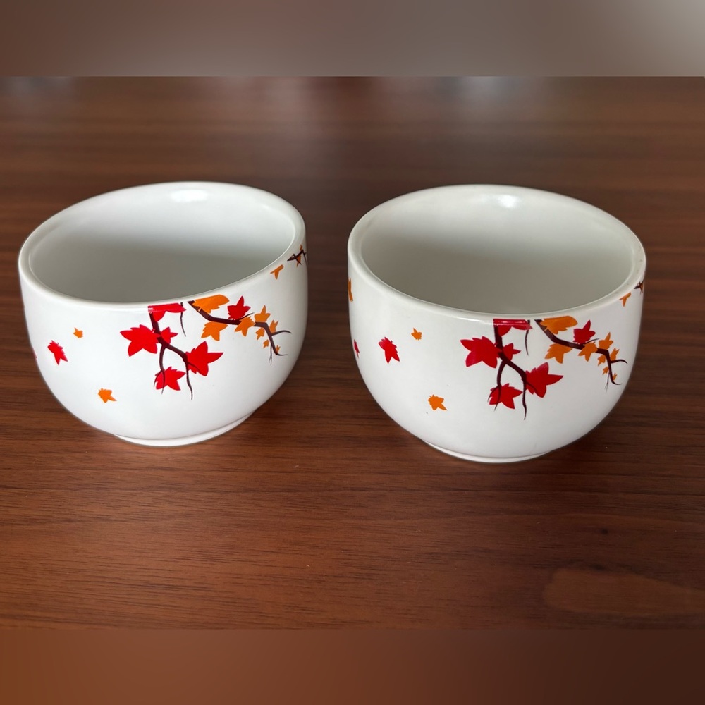 DAVIDsTEA David’s Tea fall leaves tea cup (set of 2)